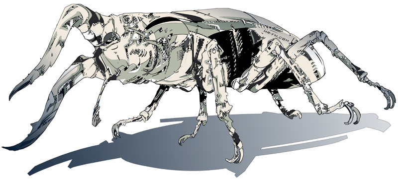 Stagbeetle